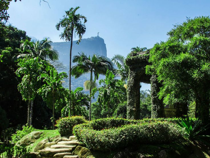 jardim botânico do rio de janeiro