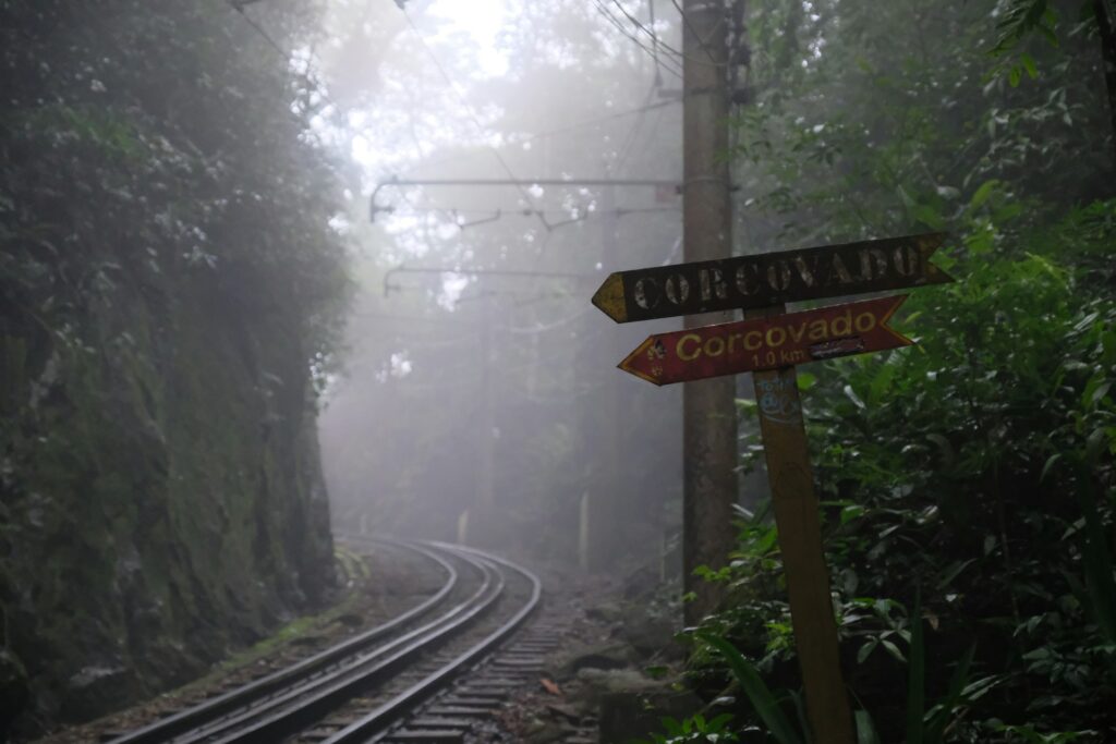 Foto trilhos do trem do corcovado no parque da tijuca.