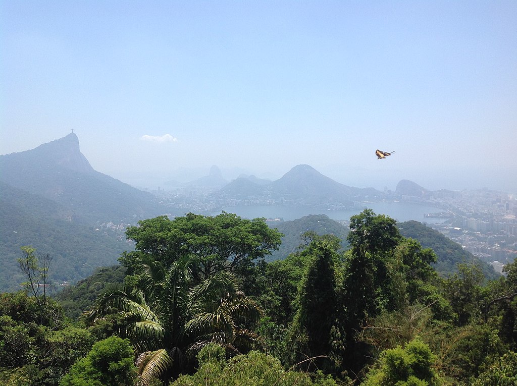 Vista do corcovado, foto tirada de dentro da floresta da Tijuca.