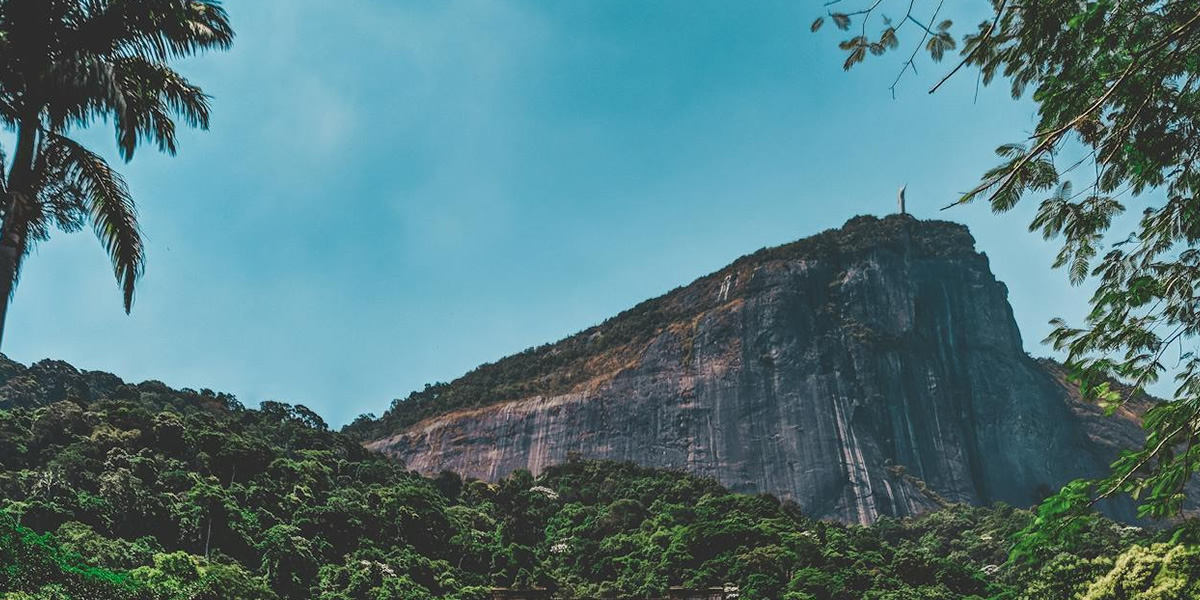 O que Fazer no Parque da Tijuca: Trilhas, Mirantes e Cachoeiras