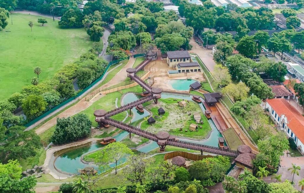 Foto aérea bioParque do Rio.