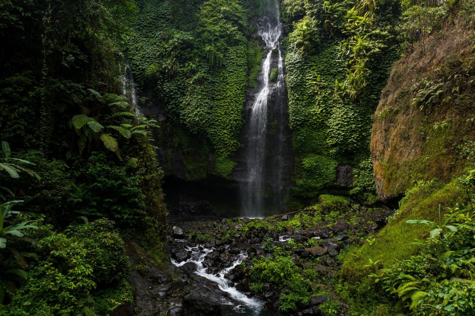 Cachoeiras da Floresta da Tijuca: o Guia Completo 4 Cachoeira correndo em meio à vegetação fechada da mata atlântica