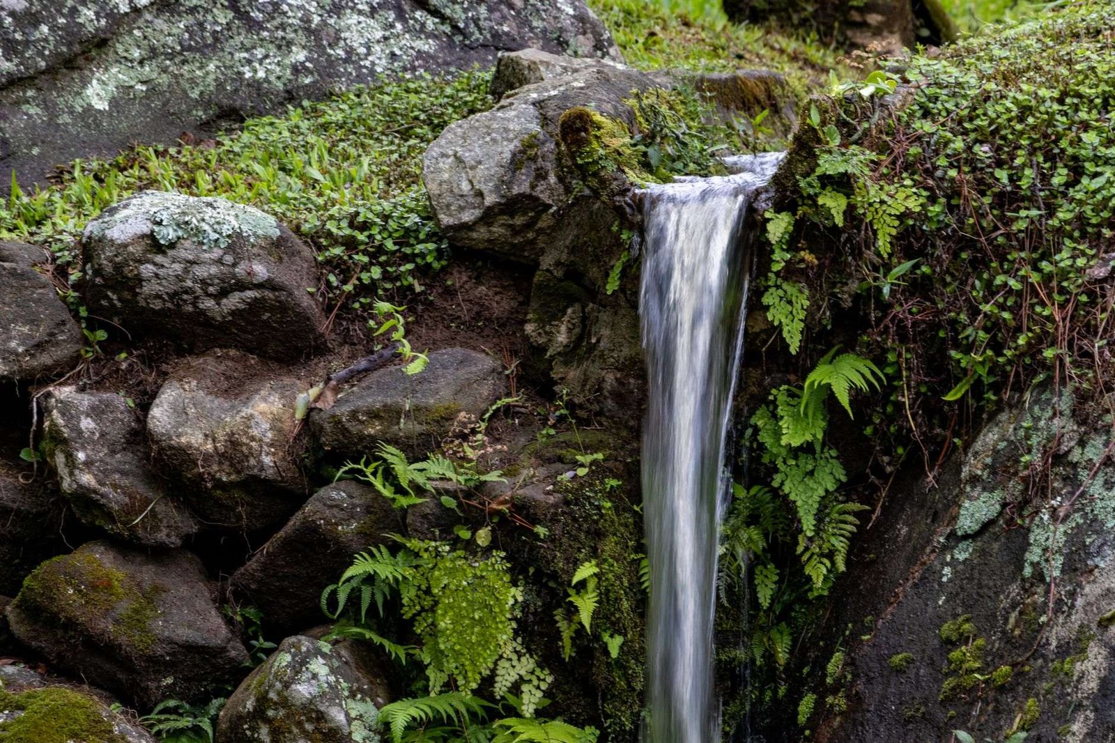 Roteiro de 5 Dias no Rio de Janeiro: Praias, Trilhas e Cultura 2 Cachoeira exuberante em meio à vegetação densa da Mata Atlântica no Rio de Janeiro