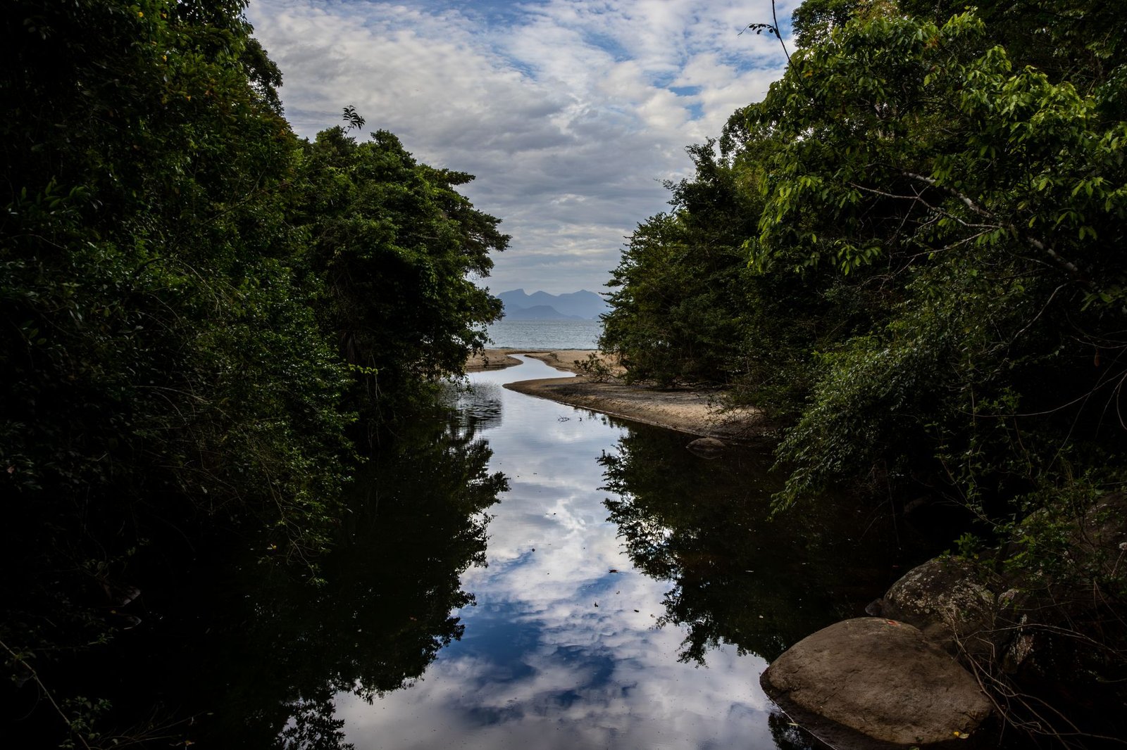 Parque Lage: o Cartão-Postal aos Pés do Corcovado 3 Árvores verdes ao redor de rio na Floresta da Tijuca